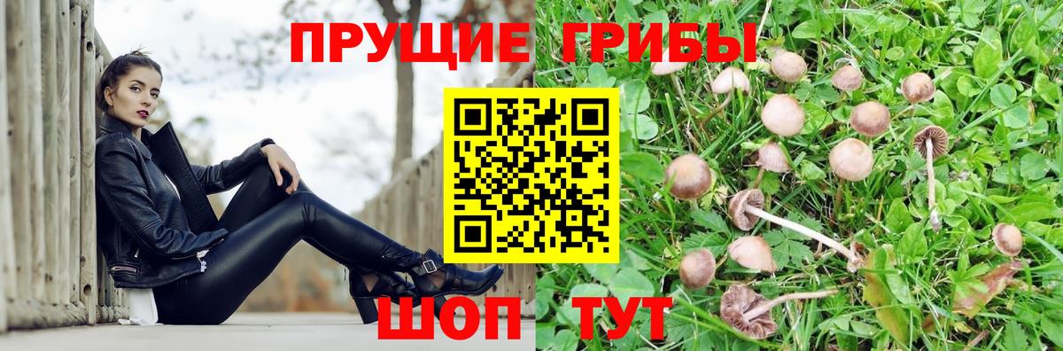 ГАШИШ Обнинск